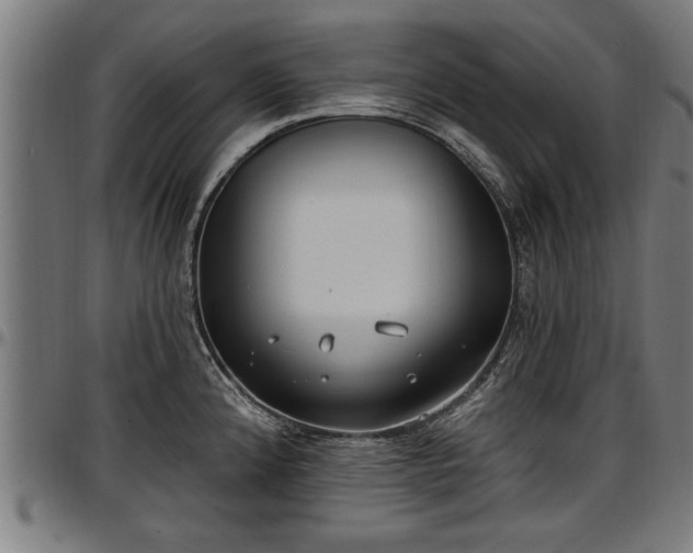 X0000097471192200802291303