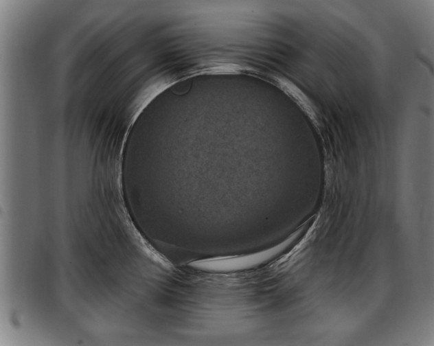 X0000097471194200802291303