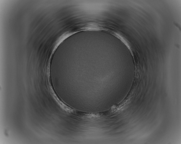 X0000097471195200802291303