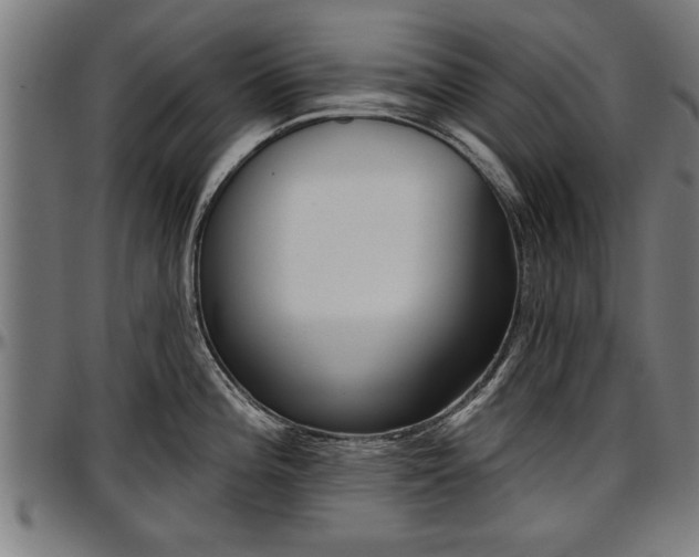 X0000097471196200802291303