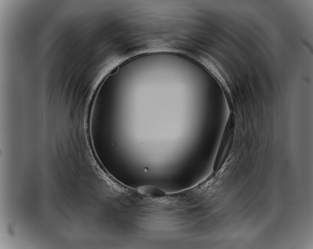 X0000097471197200802291303