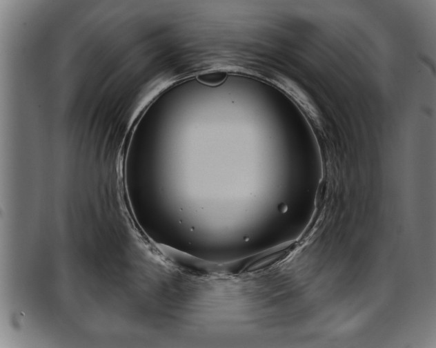 X0000097471198200802291303