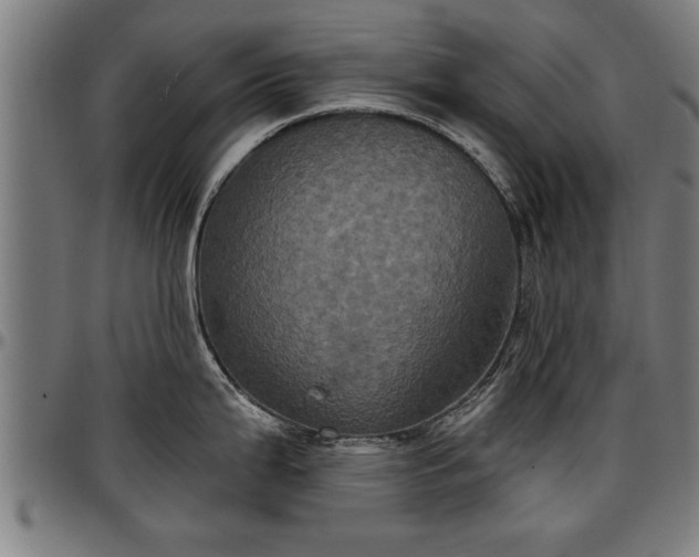 X0000097471199200802291303