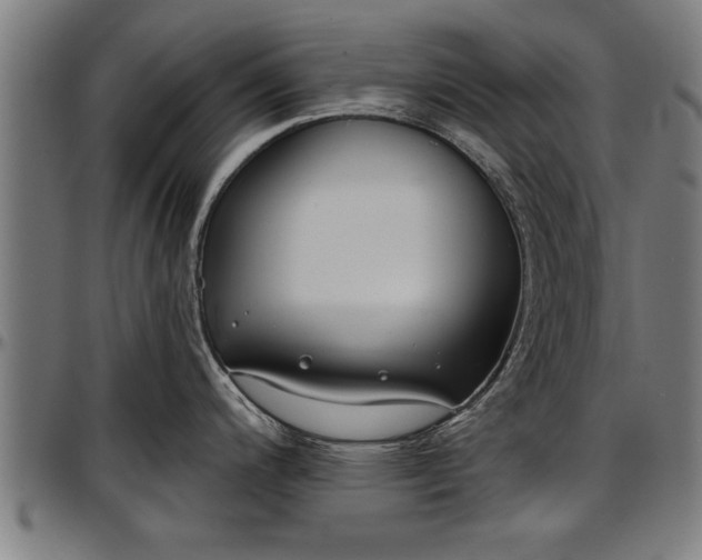 X0000097471200200802291303