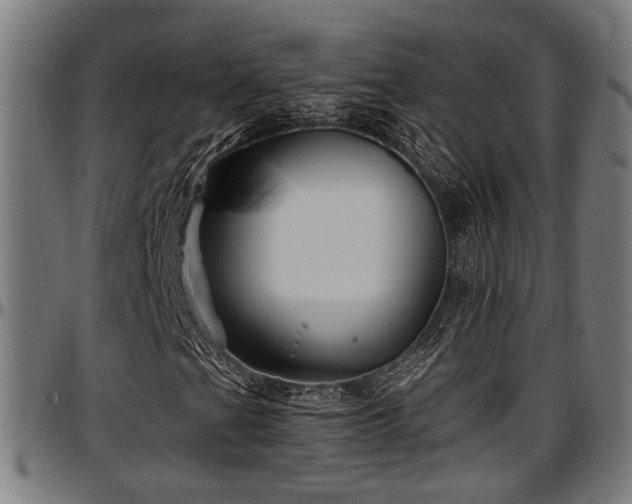 X0000097471201200802291302