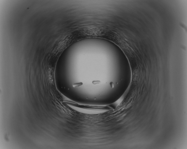 X0000097471202200802291302