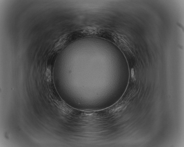 X0000097471203200802291302