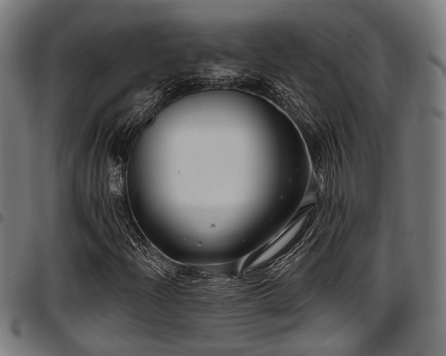 X0000097471204200802291302