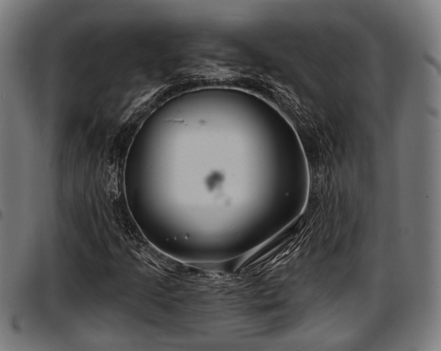 X0000097471205200802291302