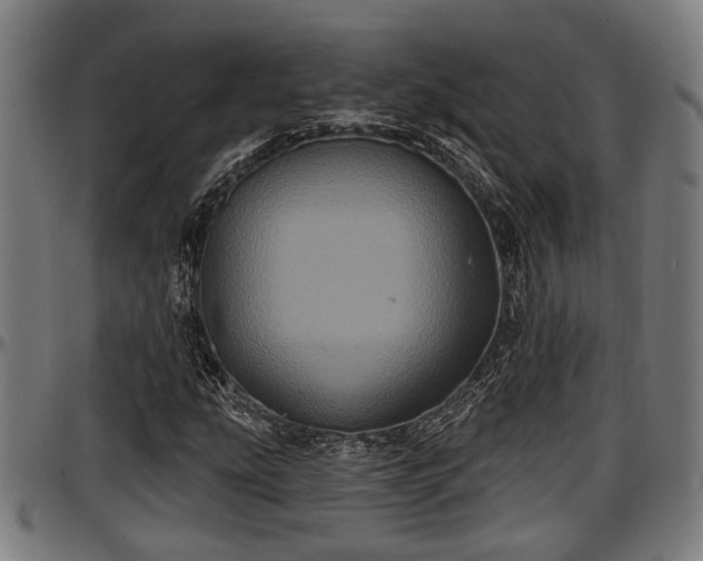 X0000097471207200802291302