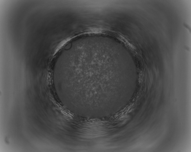X0000097471208200802291302