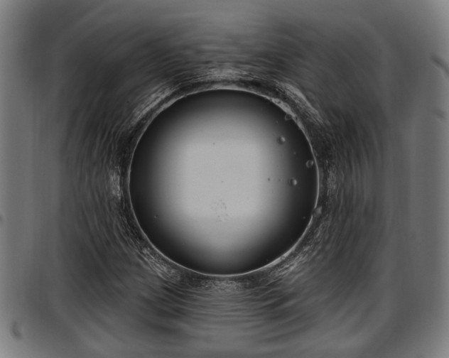 X0000097471209200802291302
