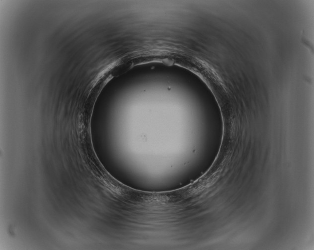 X0000097471210200802291302