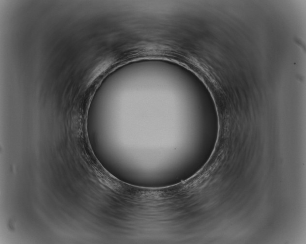 X0000097471211200802291302