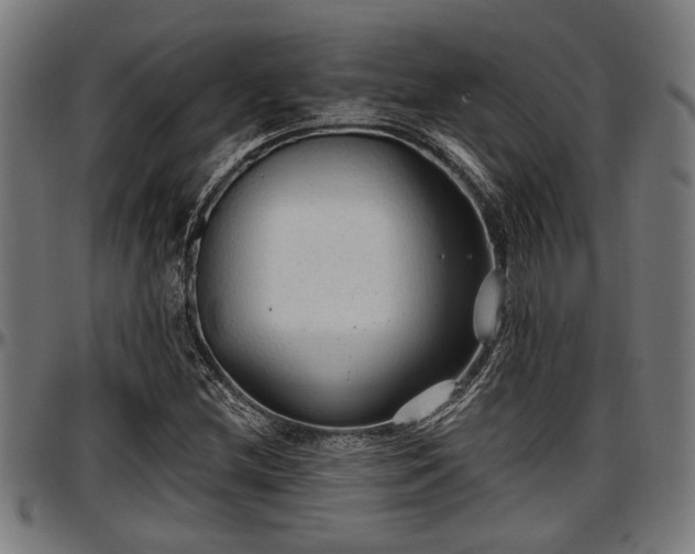 X0000097471212200802291302