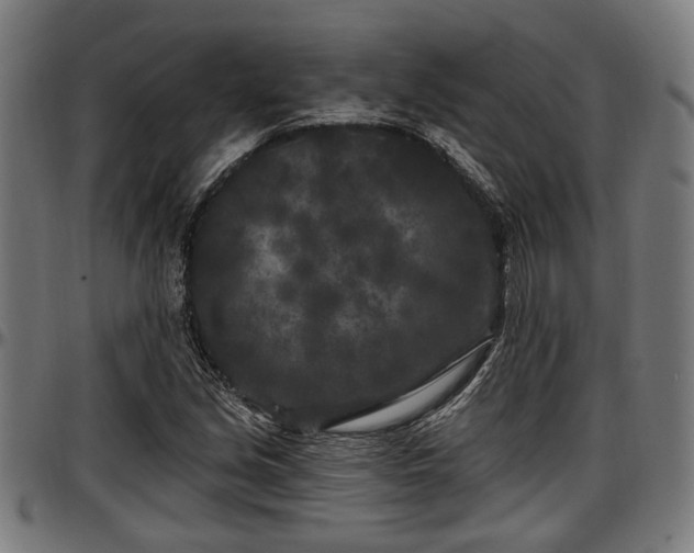 X0000097471213200802291303