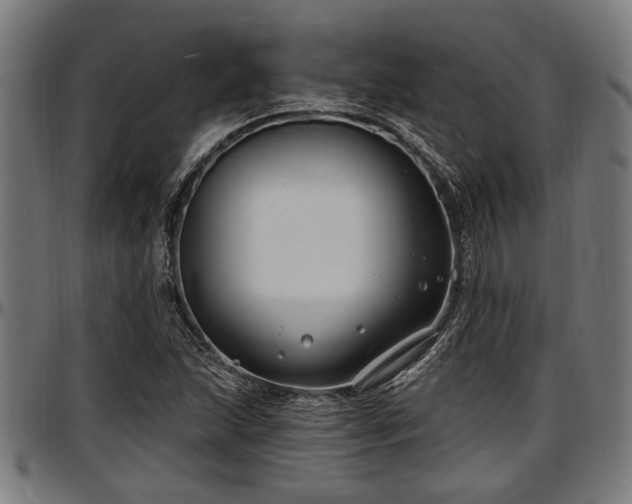 X0000097471215200802291303