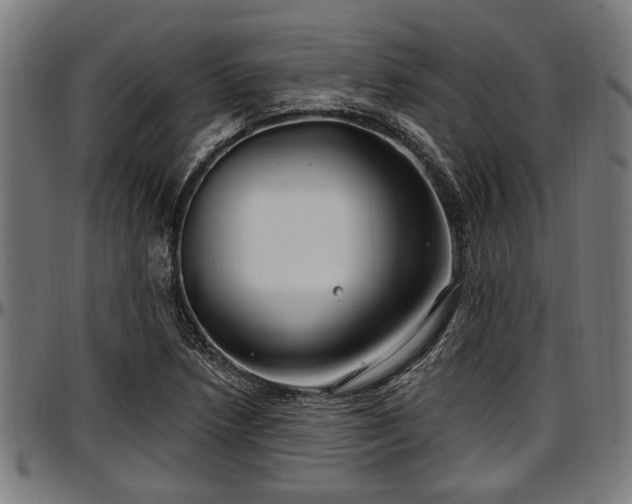 X0000097471218200802291303