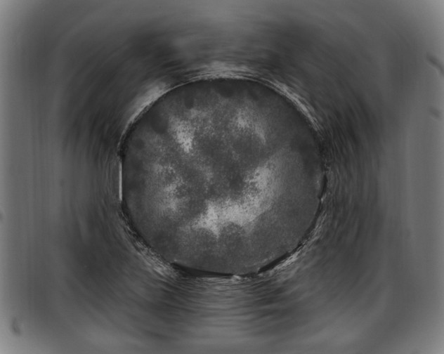 X0000097471219200802291303