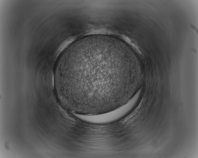 X0000097471221200802291303