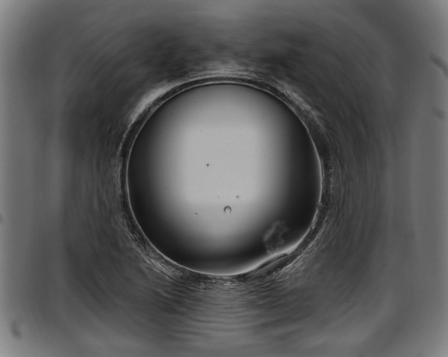 X0000097471222200802291303