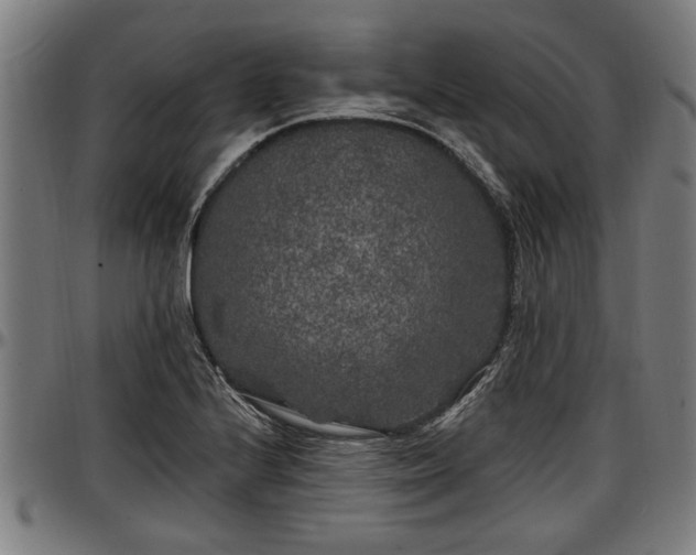 X0000097471224200802291303
