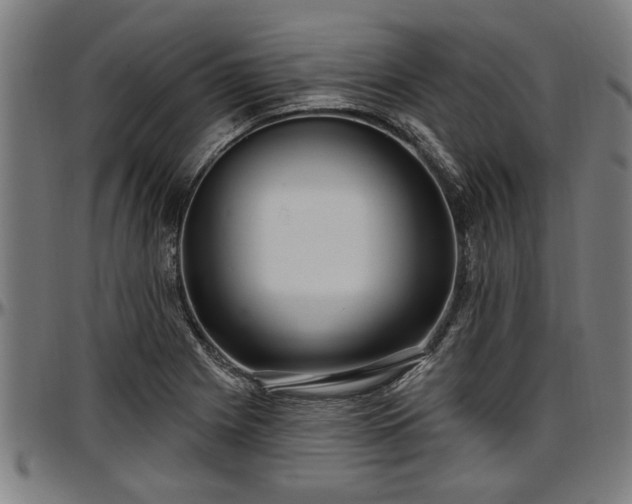 X0000097471225200802291303