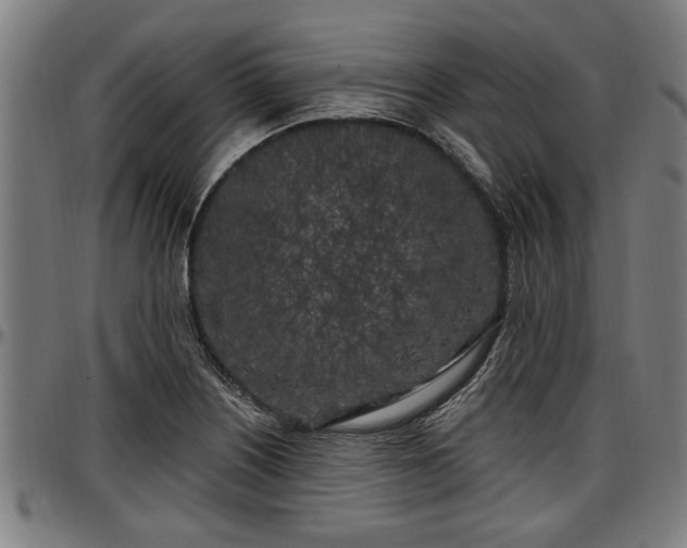 X0000097471226200802291303