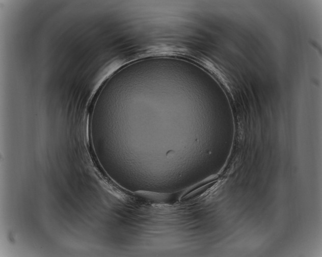 X0000097471227200802291303