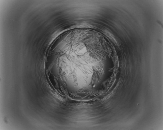X0000097471228200802291303