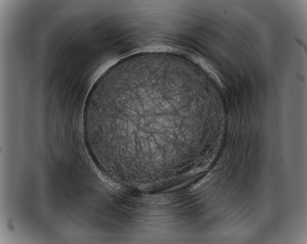 X0000097471229200802291303