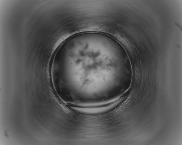 X0000097471230200802291303