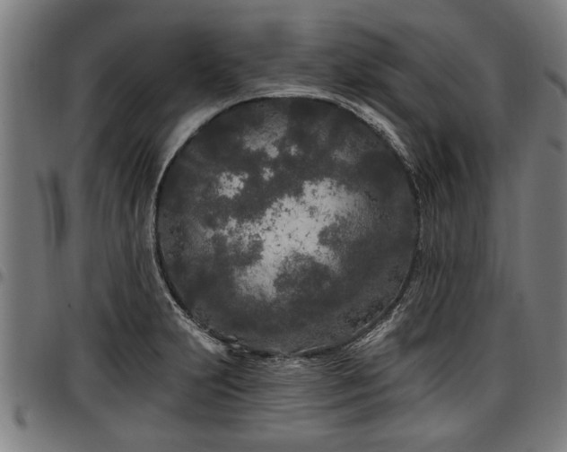 X0000097471231200802291303