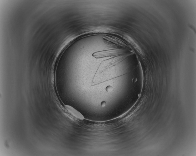 X0000097471232200802291303