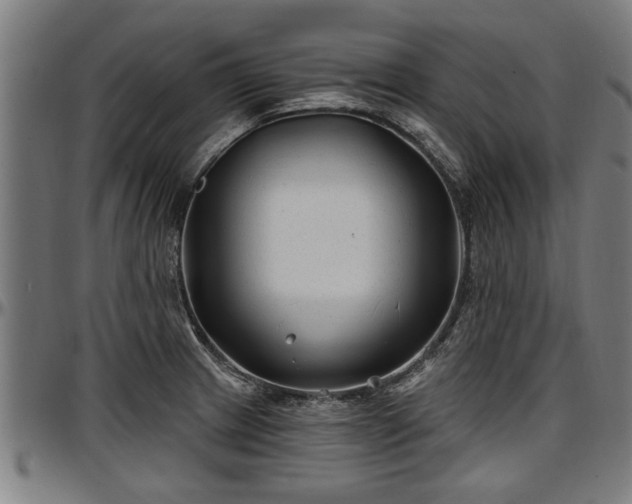 X0000097471233200802291303