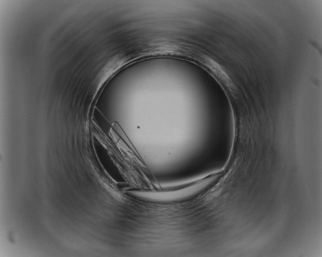 X0000097471234200802291303