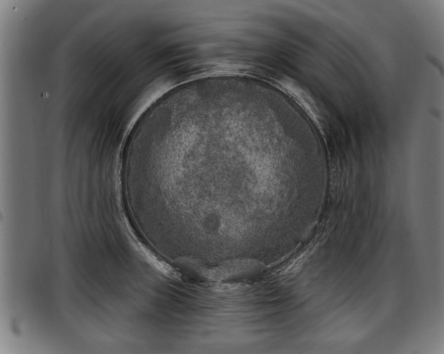 X0000097471235200802291303