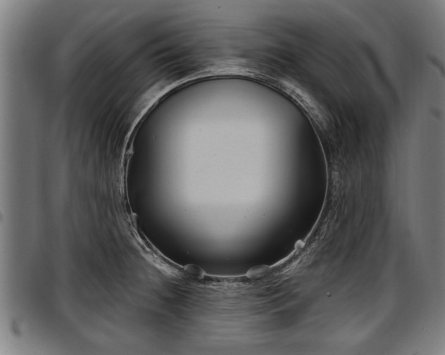 X0000097471236200802291303