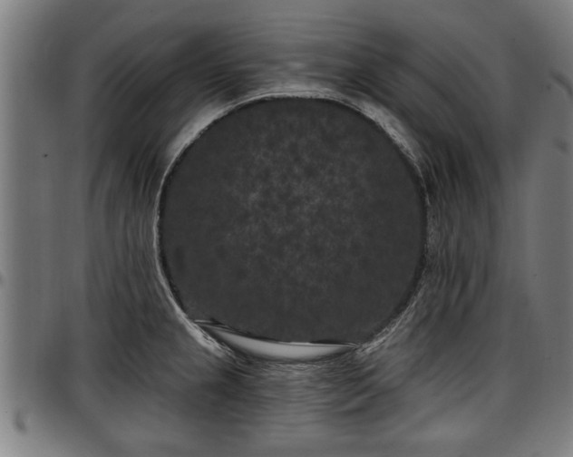 X0000097471237200802291303