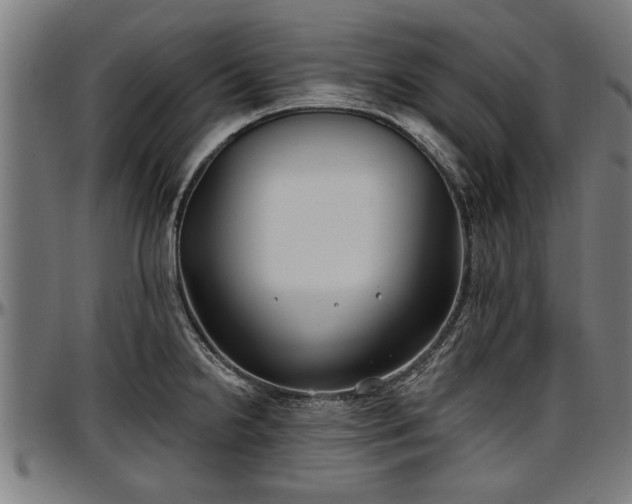 X0000097471238200802291303