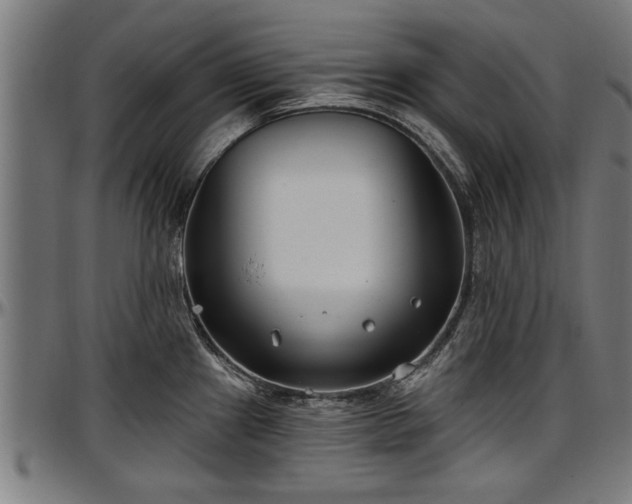 X0000097471241200802291303