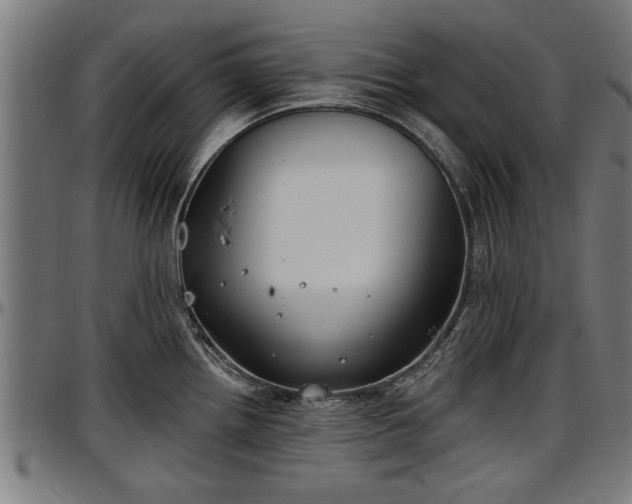 X0000097471242200802291303
