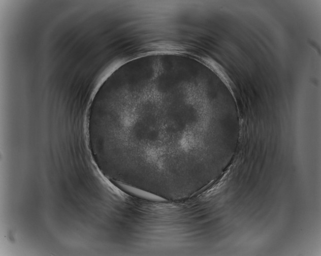 X0000097471243200802291303