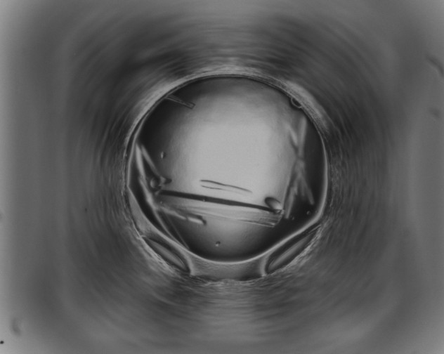 X0000097471244200802291303