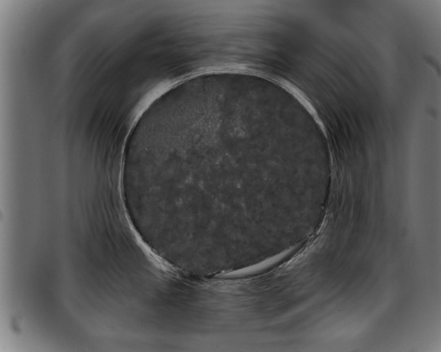 X0000097471245200802291303