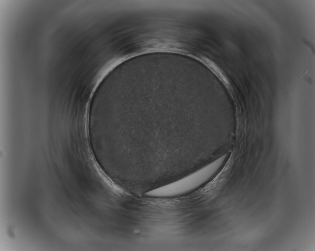 X0000097471246200802291303