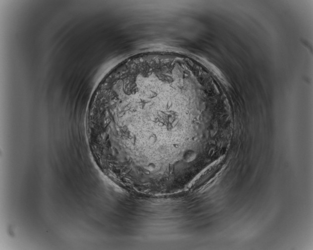 X0000097471247200802291303