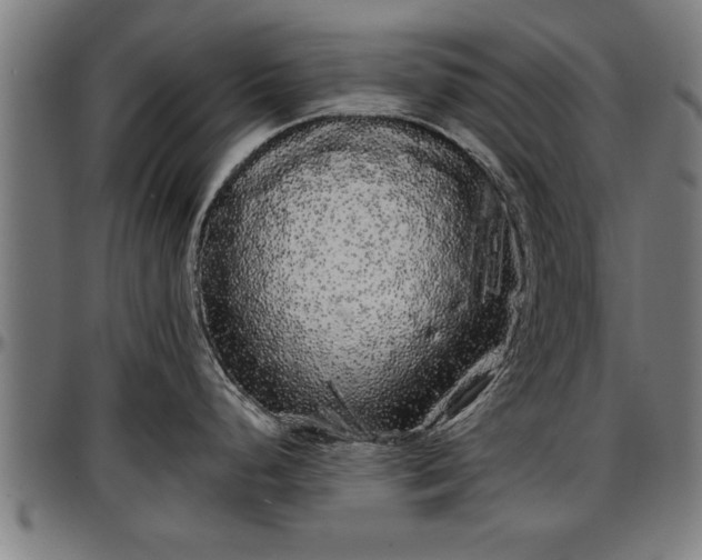 X0000097471248200802291303