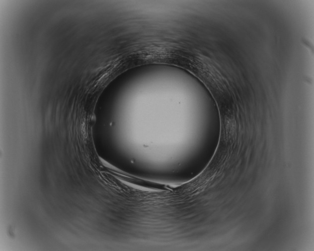 X0000097471250200802291302