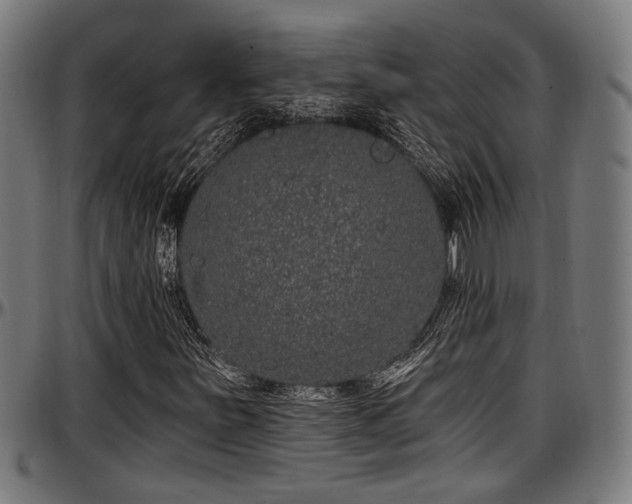 X0000097471251200802291302
